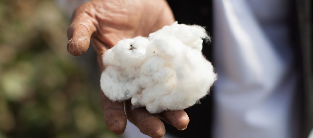 Cotton Farming Empowers Women in India – Fairtrade America