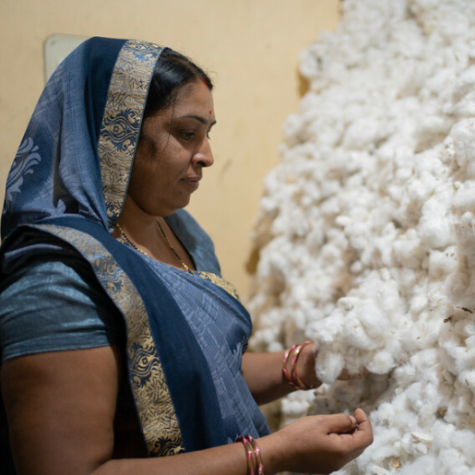 Lalita Bai - cotton farmer