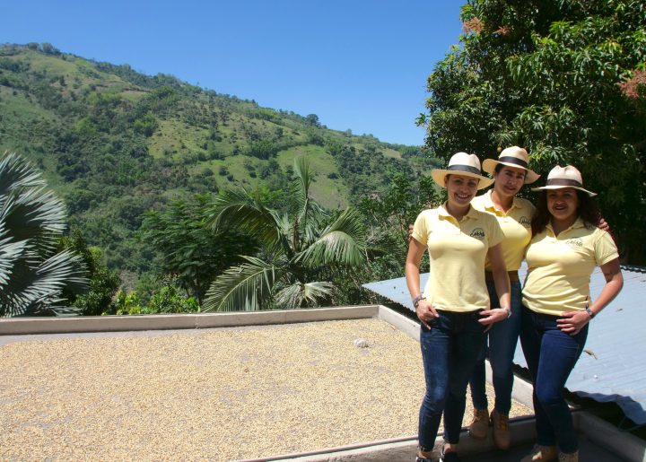 Fairtrade farmers in Colombia standing by drying beans overlooking coffee farms.