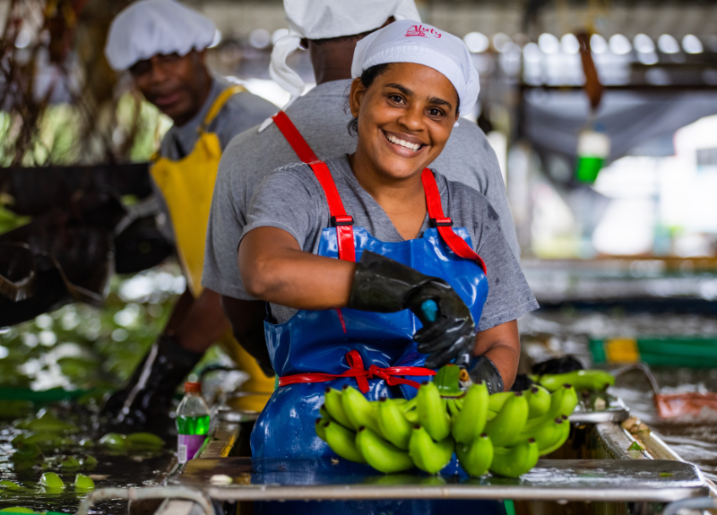 Luatanys Payares processes bananas that are fresh from their dip in a wash tank.