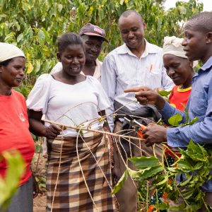 Fairtrade coffee farmers learning about the impact of climate change