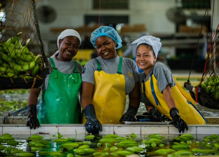 A group shot of three young women working in a banana processing plant.